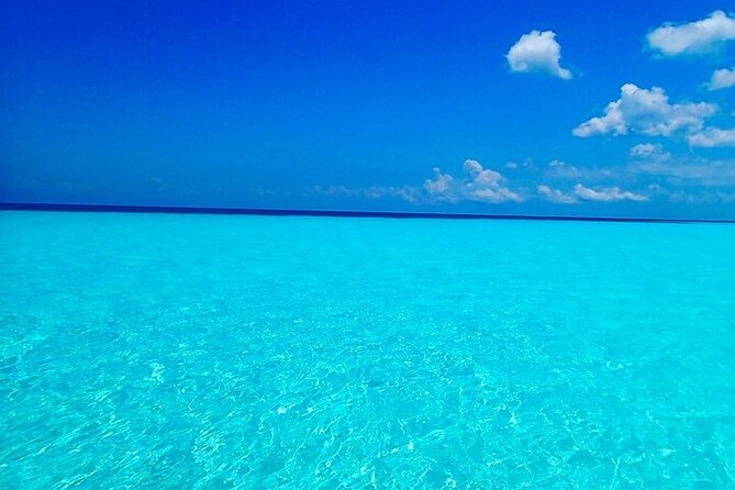 The Sky Cozumel Snorkeling Tour - All-Inclusive - Snorkeling Experience and Food