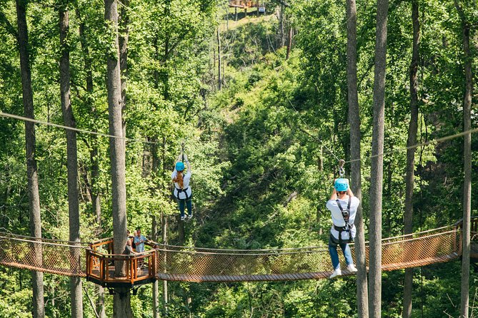 The Smoky Mountains Sightseeing Flex Pass: Save Big on Top Attractions and Tours - Accessibility and Participation