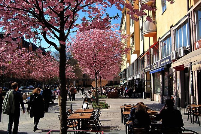 The Södermalm Tour in Stockholm - Tour Overview