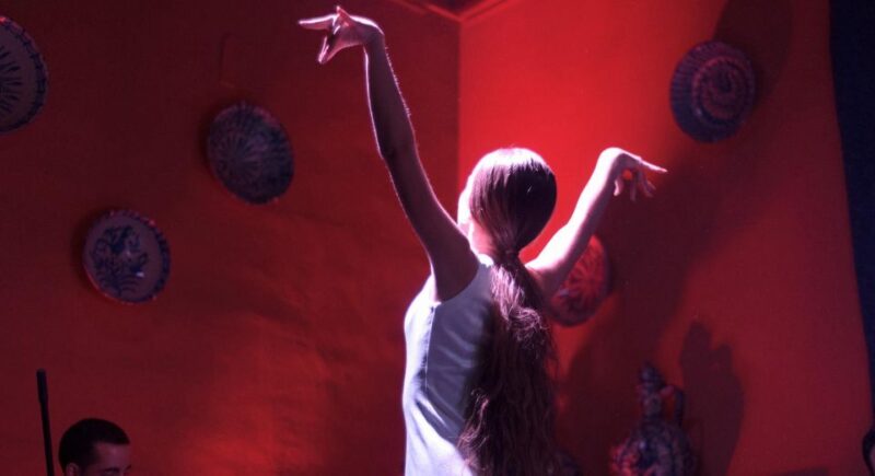 The Solé Spectacle: Grenada's Elite Flamenco Encounter - Unveiling Flamencos Captivating Essence