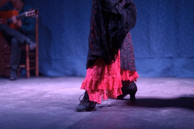 The Solé Spectacle: Grenada's Elite Flamenco Encounter - Spains Finest Flamenco Artists Shine