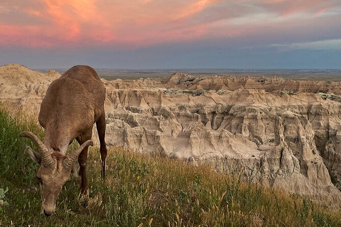 The Southern Black Hills Explorer - Key Points