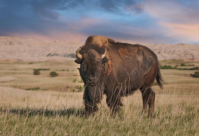 The Southern Black Hills Explorer - Tour Highlights