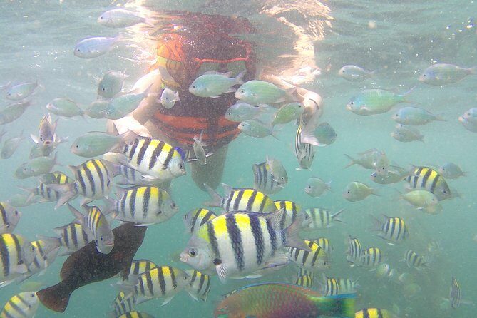 The Southwest Secret Gilis: Gili Nanggu, Gili Sudak, & Gili Kedis - Key Points