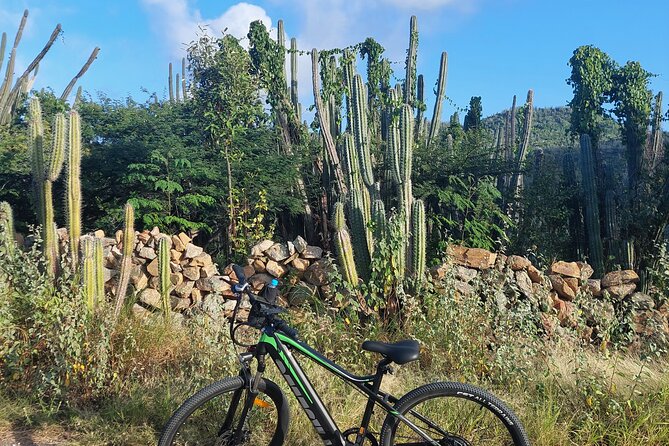 The Spanish Lagoon-Gold Mills & Nature Heritage E-Bike Aruba - Itinerary and Tour Highlights
