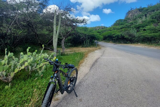 The Spanish Lagoon-Gold Mills & Nature Heritage E-Bike Aruba - Booking Your Stay