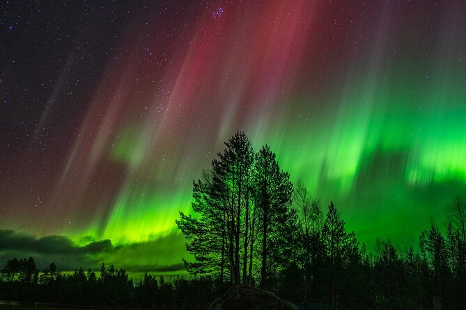 The Special Aurora Hunt - Included Offerings