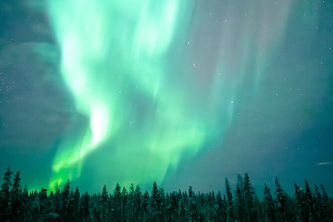 The Special Aurora Hunt - Booking and Confirmation