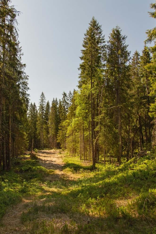 The Spectacular Holmenkollen Walk Private Tour - Key Points