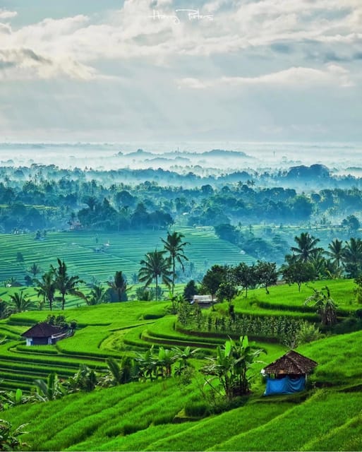 The Spectacular UNESCO World Heritage Tour of Bali - Key Points