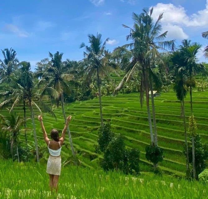 The Spectacular UNESCO World Heritage Tour of Bali - Booking Information