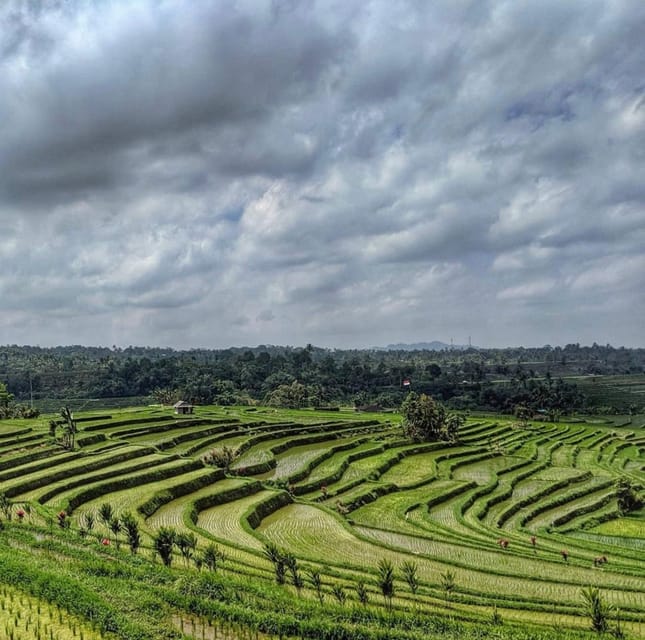 The Spectacular UNESCO World Heritage Tour of Bali - Scenic Attractions