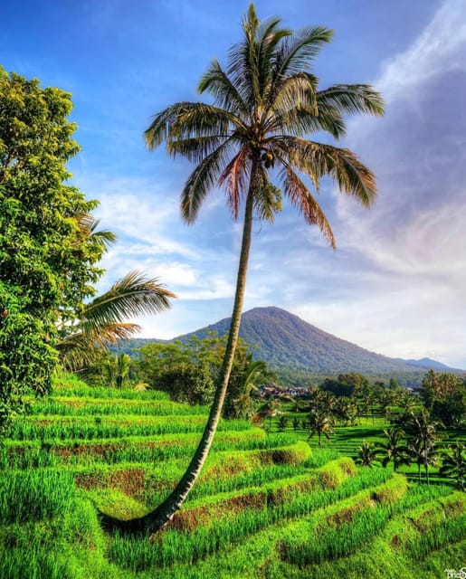 The Spectacular UNESCO World Heritage Tour of Bali - Dining Experience