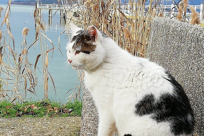 The Spell of Lake Trasimeno - Trekking Tour - Preparation and Requirements