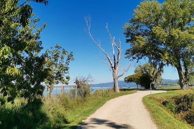 The Spell of Lake Trasimeno - Trekking Tour - Exploring Lake Trasimenos Natural Beauty