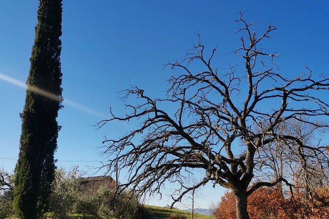 The Spell of Lake Trasimeno - Trekking Tour - Discovering Local Folklore and Culture