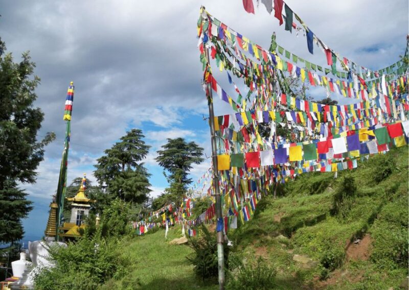 The Spiritual Trails of Dharamshala(Guided Walking Tour) - Meeting Point and Ending Point
