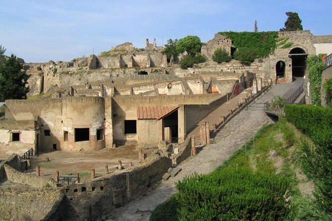 The Splendour of Pompeii Ruins With Pompeii Guide - Accessibility and Participation