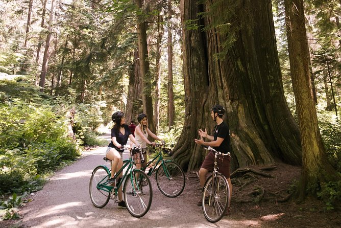 The Stanley Park Tour by Cycle City Tours - Guided Bike Tour