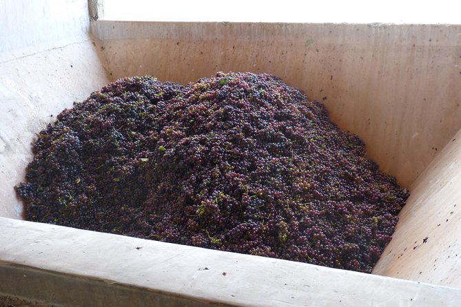 The Start WineTour for 2 People (History and Wines) - Exploring the Wineries