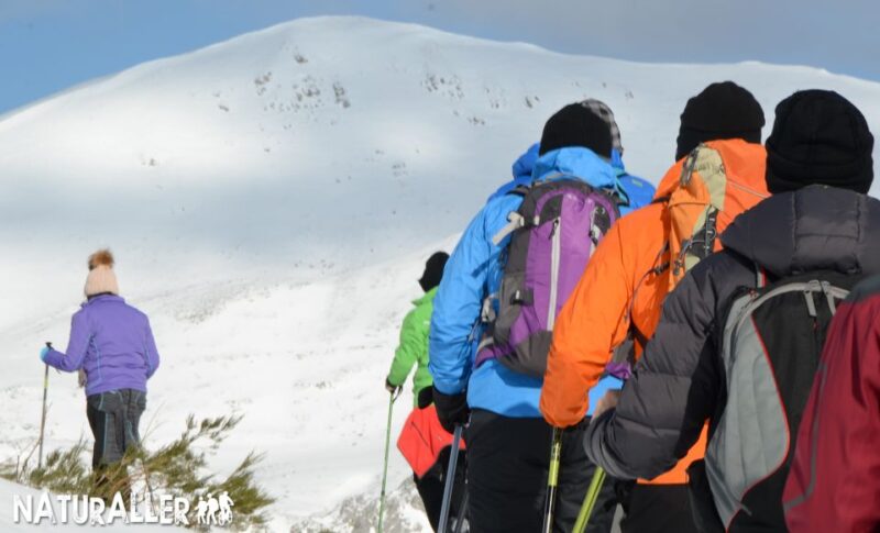 The Stripe: Winter Sources Snowshoe Walk - Experience Highlights