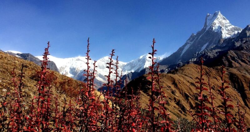 The Stunning Himalayan Landscape Provides Awe Inspiring View - Booking and Cancellation Policy