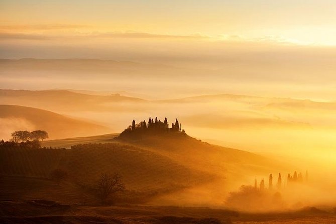 The Taste of Chianti:A Wine and Gourmet Private Tour With a Truffle-Based Lunch - What to Expect During the Tour