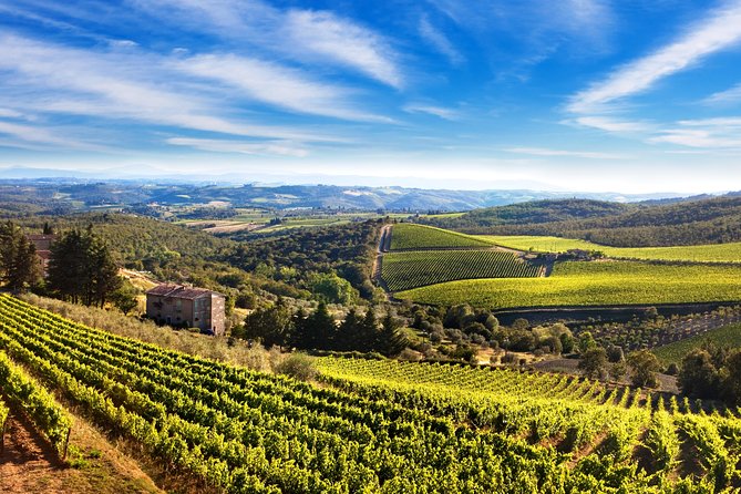The Taste of Chianti:A Wine and Gourmet Private Tour With a Truffle-Based Lunch - Cancellation Policy Breakdown