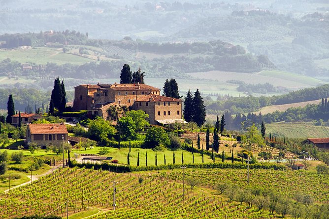 The Taste of Chianti:A Wine and Gourmet Private Tour With a Truffle-Based Lunch - Winery Visit Highlights