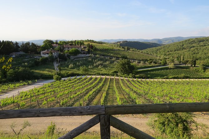 The Taste of Chianti:A Wine and Gourmet Private Tour With a Truffle-Based Lunch - Truffle-based Lunch Experience
