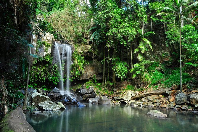 The Tastes of Tamborine Mountain - Transportation and Accessibility