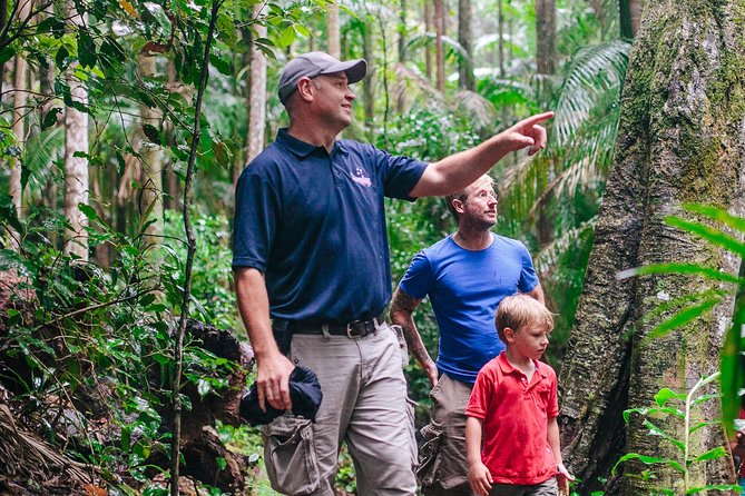 The Tastes of Tamborine Mountain - Koalas, Kangaroos, and Colorful Birds