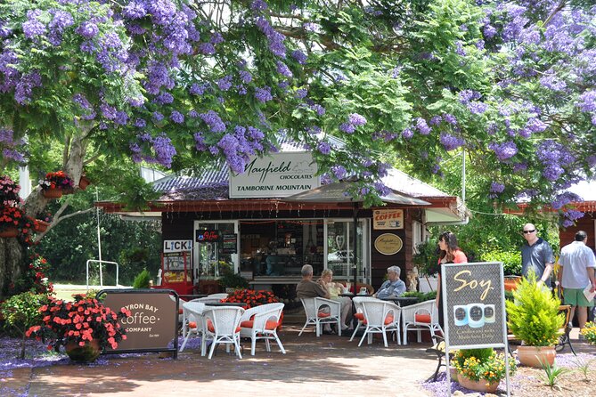 The Tastes of Tamborine Mountain - Guided Bushwalk Through Eucalypt Rainforest