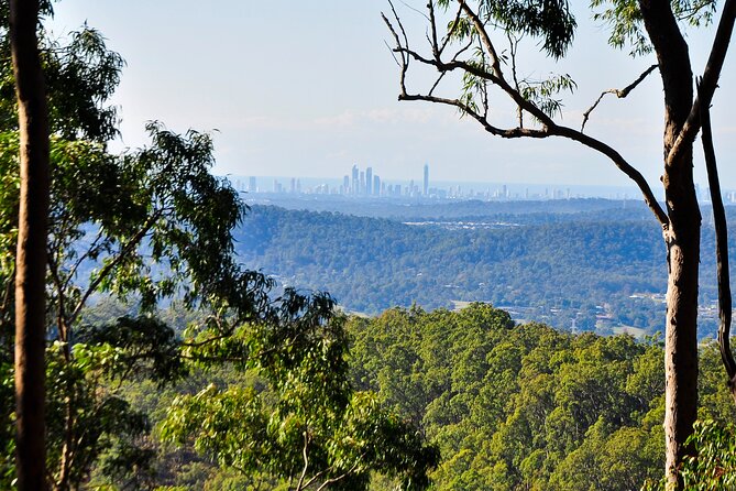 The Tastes of Tamborine Mountain - Tasting of Local Produce and Wines