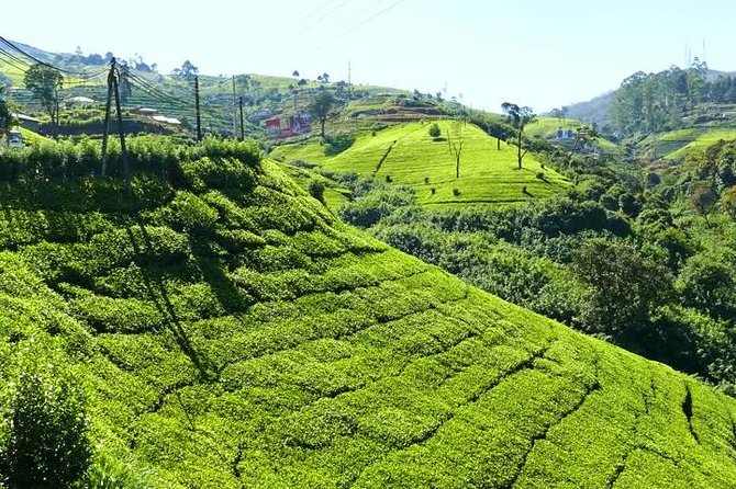 The Tea Hubs of Srilanka - Accessibility