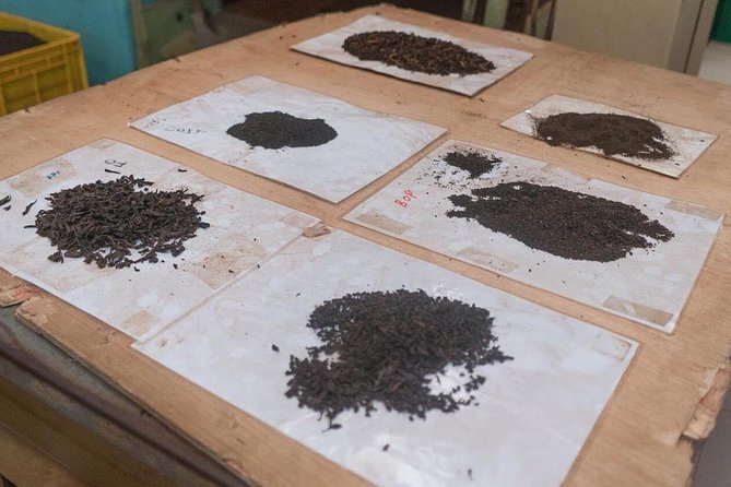 The Tea Hubs of Srilanka - Tea Factory Visits