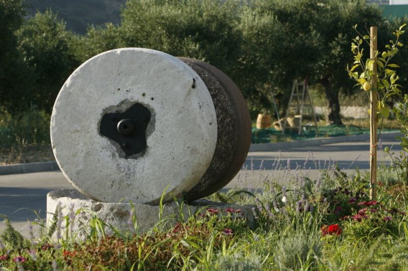 The Terra Creta Olive Oil Experience Tour - Highlights of the Experience