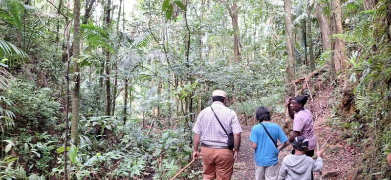 The Tobago Rainforest Tour - Key Points