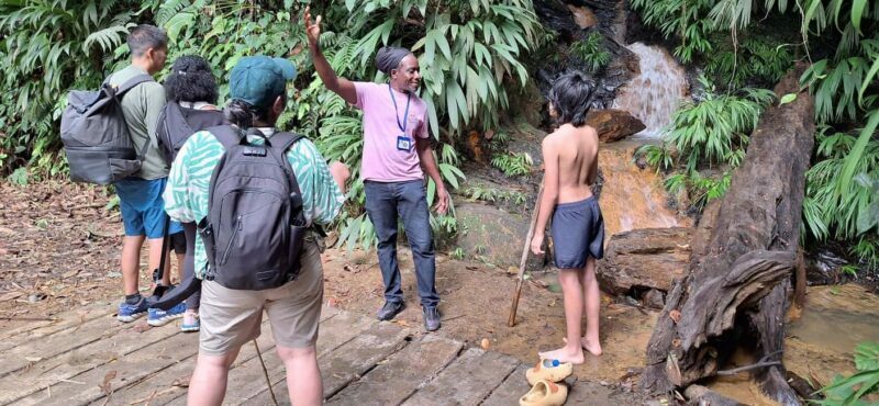 The Tobago Rainforest Tour - Practical Tips for the Tour