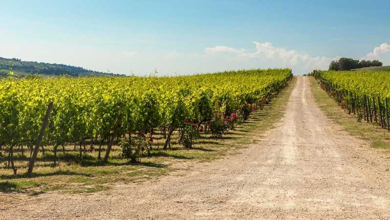 The Torriano Wine Experience Room - Additional Activities and Shopping Opportunities