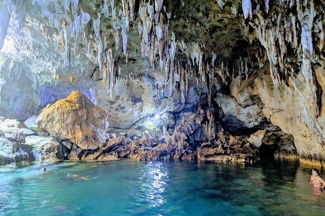 The Tour of the Must-See Sites of Bohol - Activities