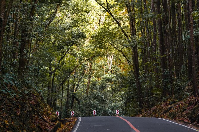 The Tour of the Must-See Sites of Bohol - Logistics