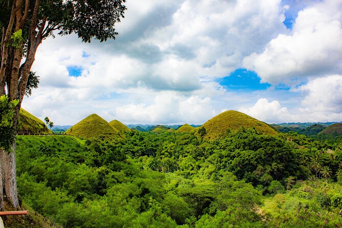 The Tour of the Must-See Sites of Bohol - Panga Waterfall Lunch