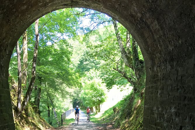 The Train Track Trail Mountain Bike Ride - Private Experience - Whats Included in the Tour