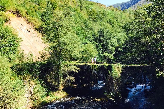 The Train Track Trail Mountain Bike Ride - Private Experience - Private and Exclusive Nature