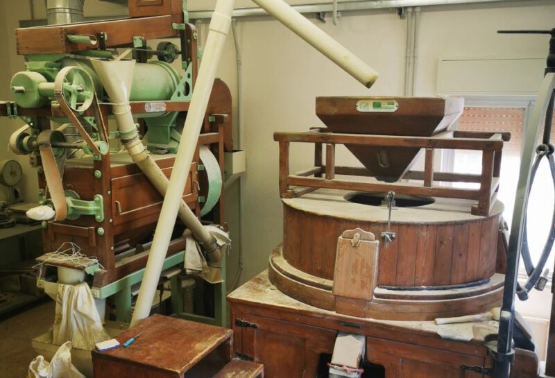The Treasures of the Nisseno: Oil, Wine, Cheese, and Cuddrireda - Wine Experience