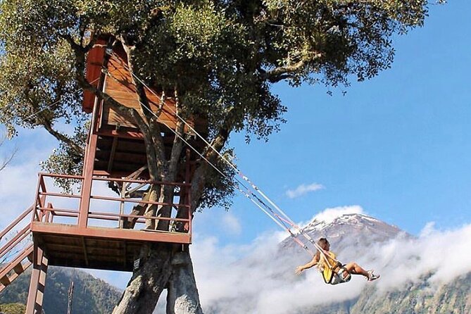 The Tree House Swing of the End of the World - Key Points