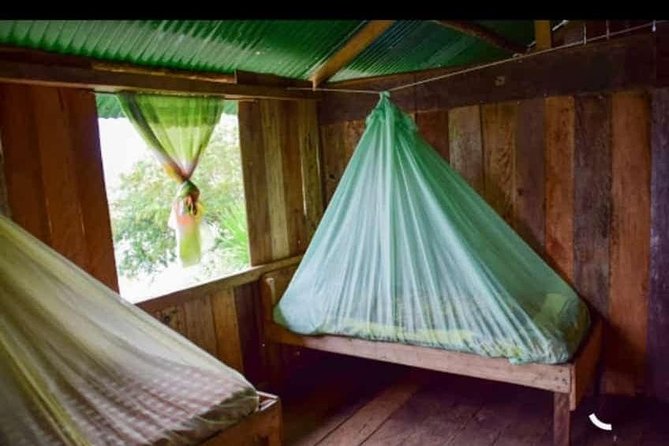 The Tree House - Tours - Swing at the End of the World - Viewpoint - Lunch and Waterfall Hike