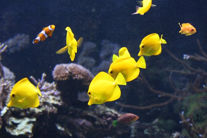 The Tropical Islands of Nha Trang Bay - Good To Know