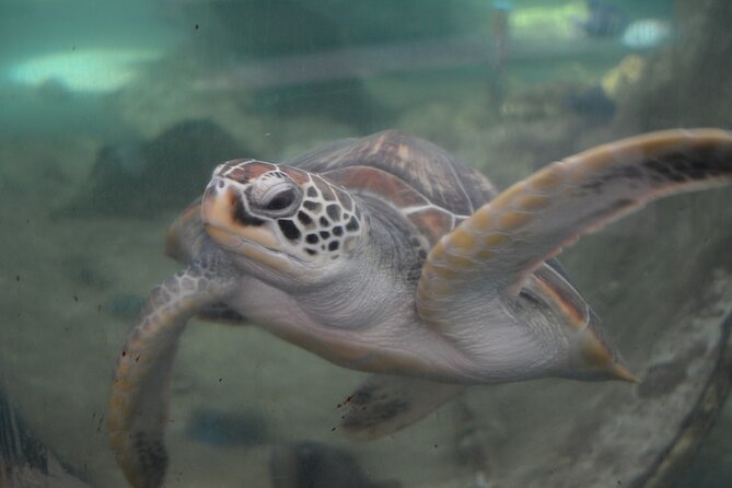 The Tropical Islands of Nha Trang Bay - Immersion in a Fishing Village